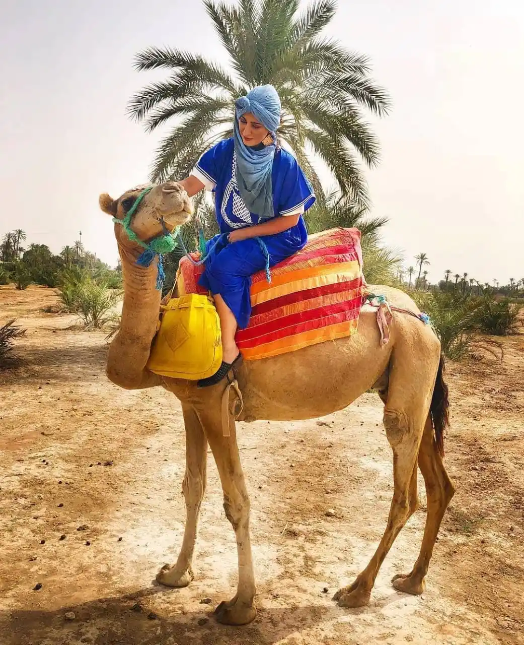 Camel Trek