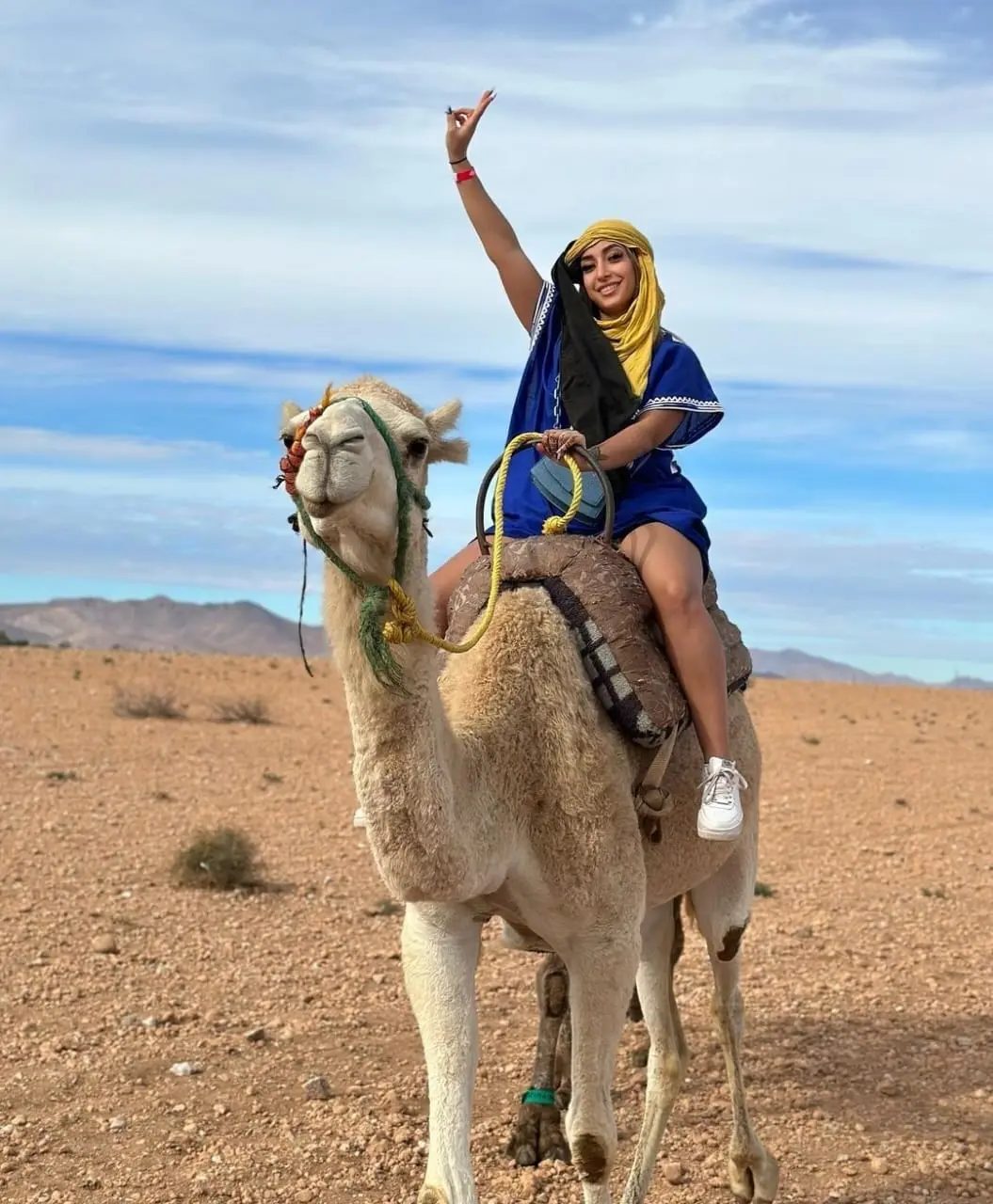 Sunset Camel Journey Through the Palmeraie — photo 1