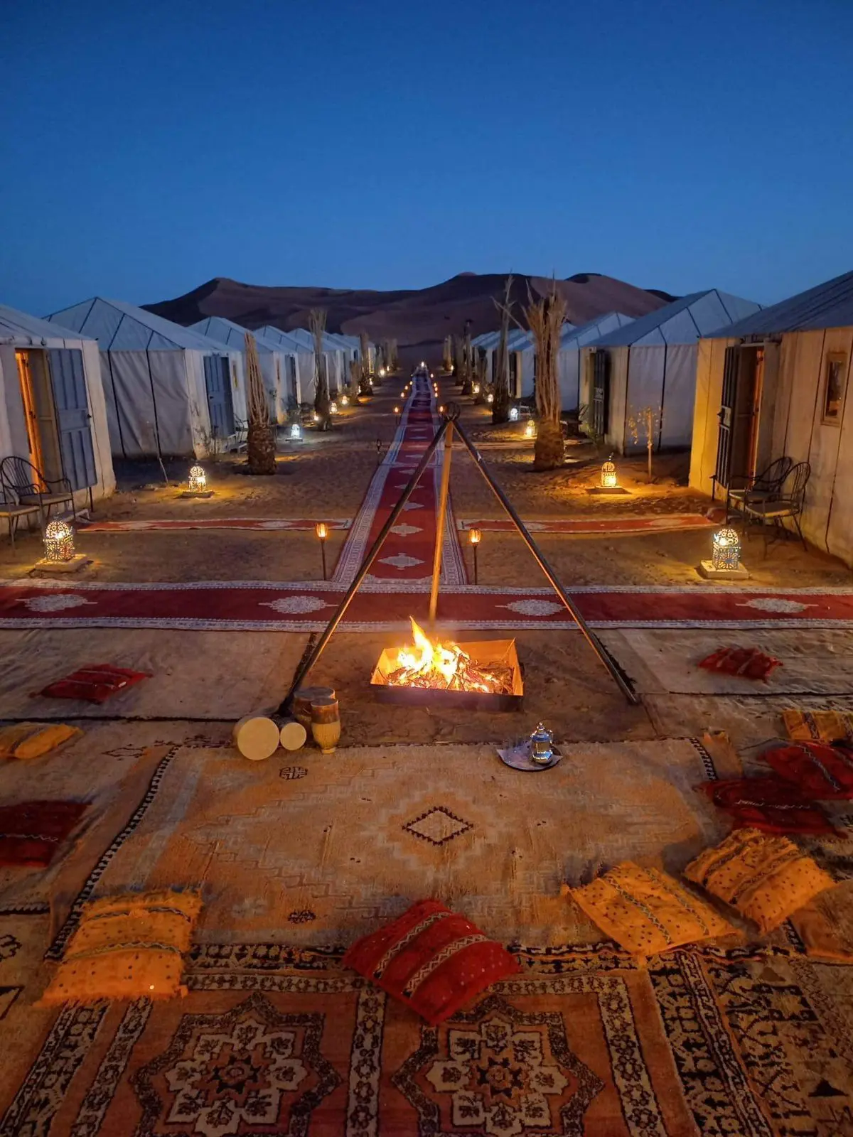 Sleep Under Sahara Stars